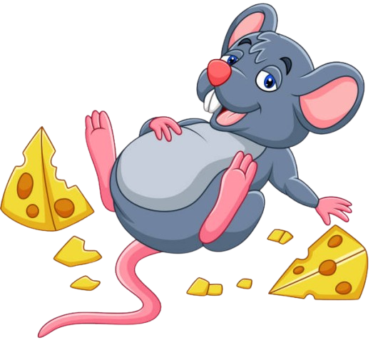 Picture of a mouse with cheese